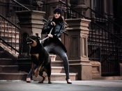 Animal Instinct