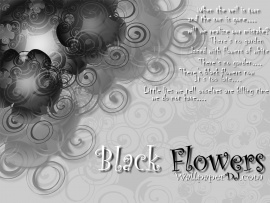 Black Flowers Lyrics (click to view)