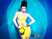 Dj Teri