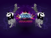 Electric Zoo Festival