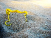 Playtime In The Sand