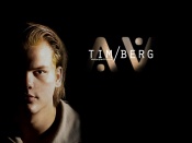 Tim Berg