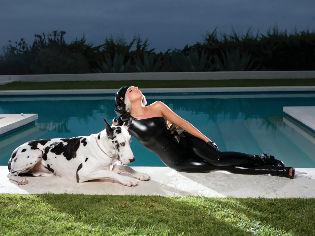 Description: Lady Gaga and the great dane from poker face video wallpaper.